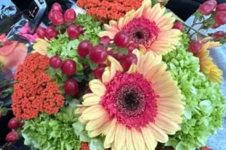 incalls and outcalls - Image 2